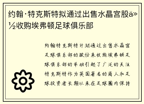 约翰·特克斯特拟通过出售水晶宫股份收购埃弗顿足球俱乐部