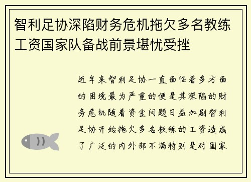 智利足协深陷财务危机拖欠多名教练工资国家队备战前景堪忧受挫