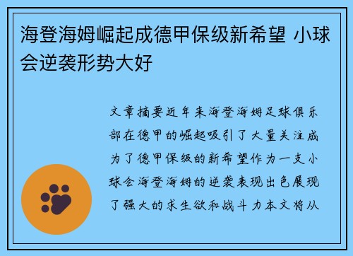 海登海姆崛起成德甲保级新希望 小球会逆袭形势大好